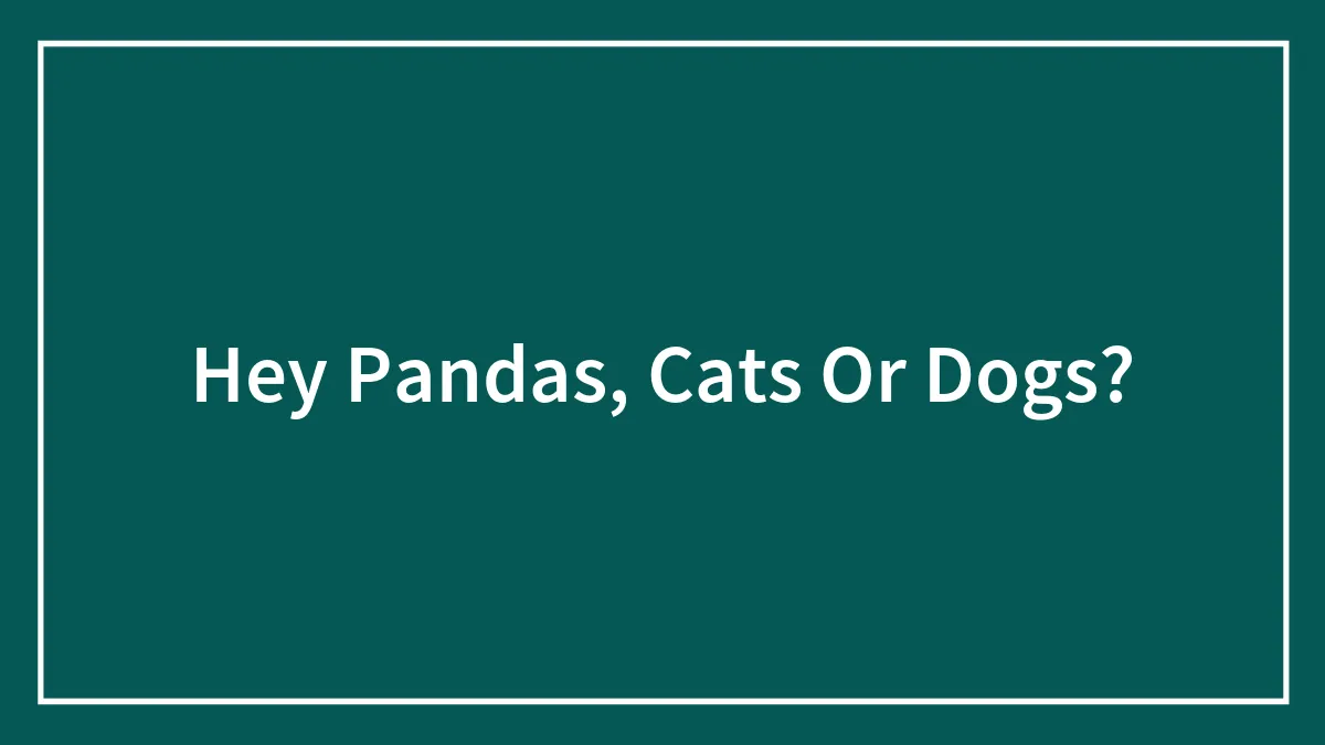 Hey Pandas, Cats Or Dogs?