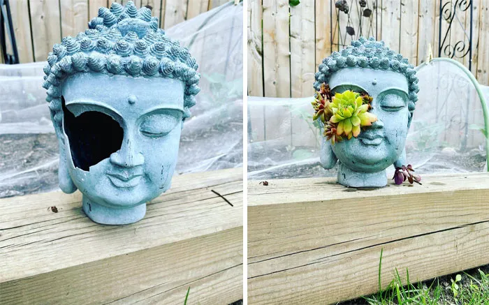 40 Creative Gardening Examples People Shared On This Facebook Group With 1.1M Members