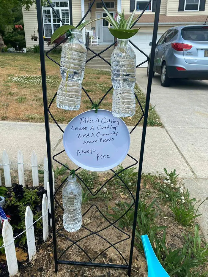 40 Creative Gardening Examples People Shared On This Facebook Group With 1.1M Members