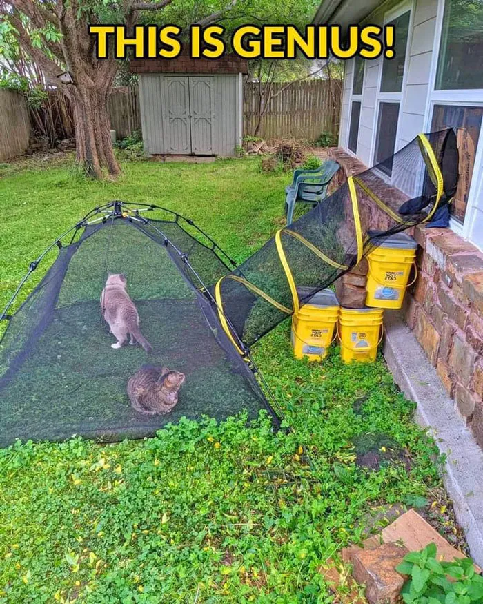 40 Creative Gardening Examples People Shared On This Facebook Group With 1.1M Members
