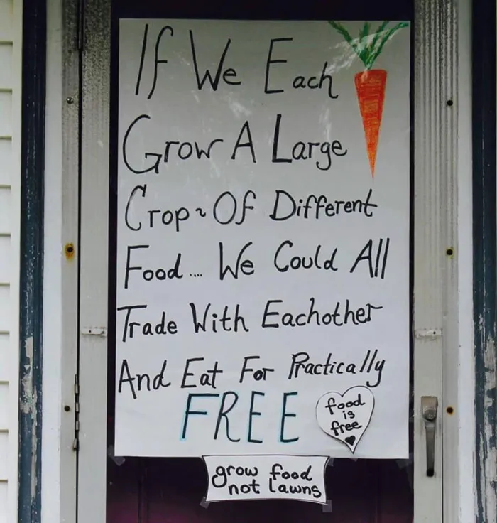 40 Creative Gardening Examples People Shared On This Facebook Group With 1.1M Members