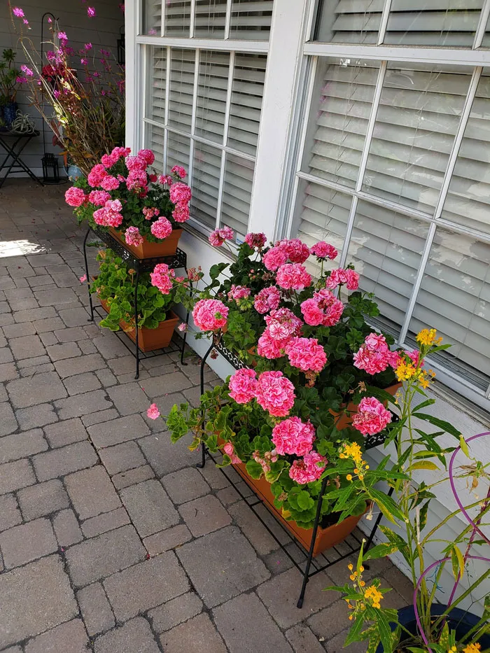 30 Ejemplos de jardinería creativa compartidos en este grupo de FB con más de 1 millón de miembros