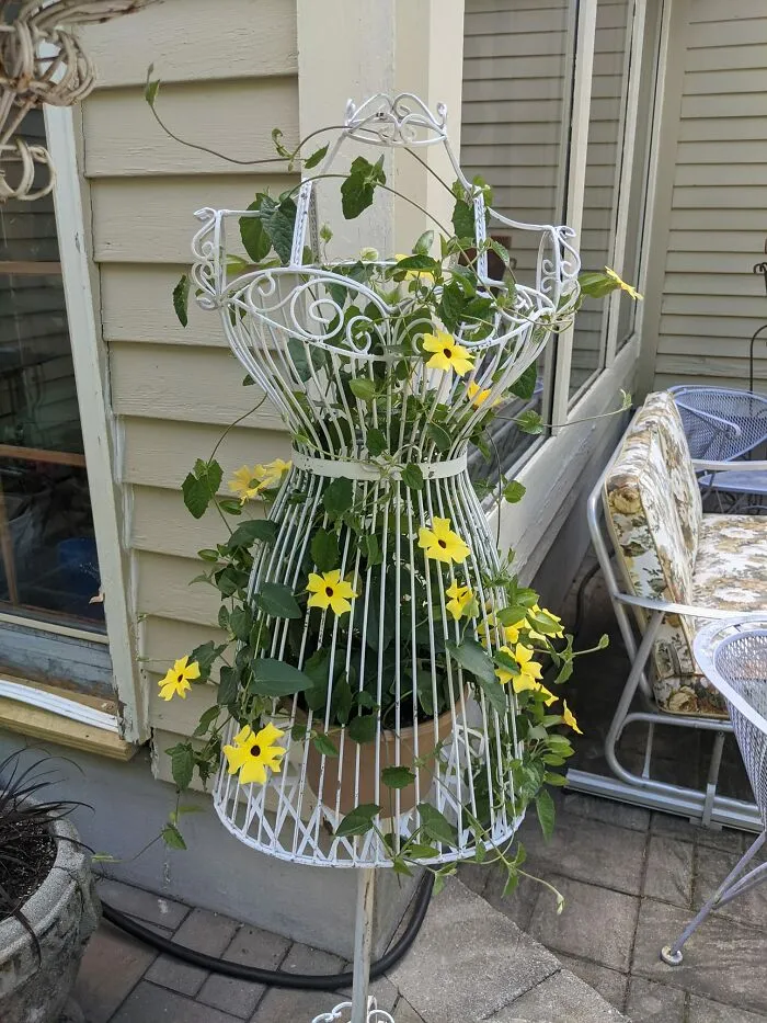 30 Ejemplos de jardinería creativa compartidos en este grupo de FB con más de 1 millón de miembros
