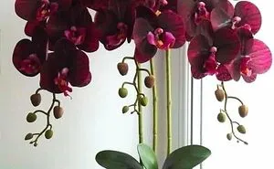 40 Creative Gardening Examples People Shared On This Facebook Group With 1.1M Members