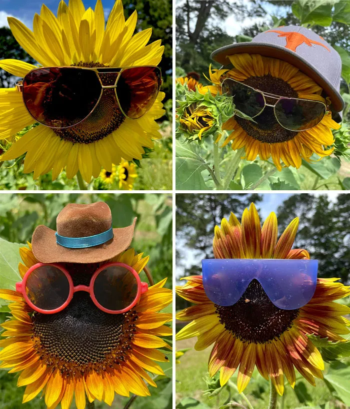 40 Creative Gardening Examples People Shared On This Facebook Group With 1.1M Members