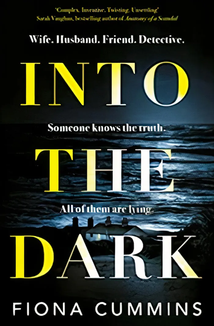 Into The Dark By Fiona Cummins