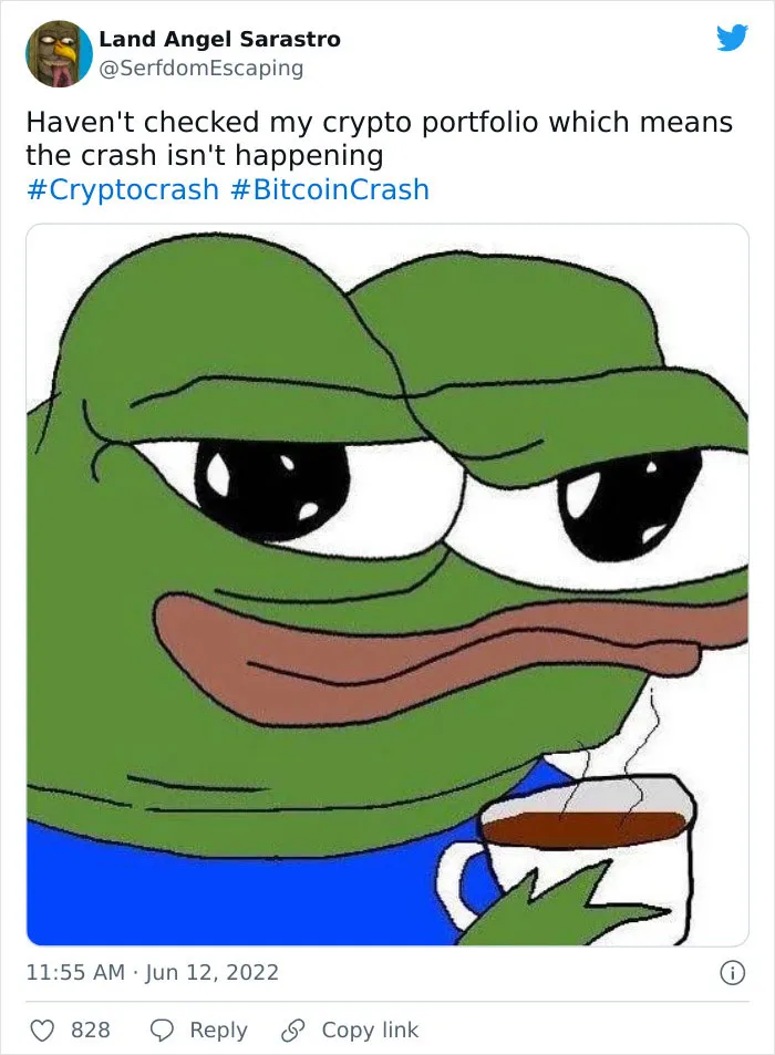 Folks Are Cracking Up At These 30 Memes About The Crypto Currency Crash, Exemplifying Just How Sad It Is