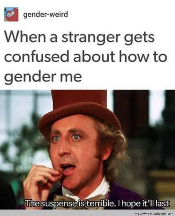 LGBTQ+ meme with character looking amused, captioned about confusion over gendering someone.