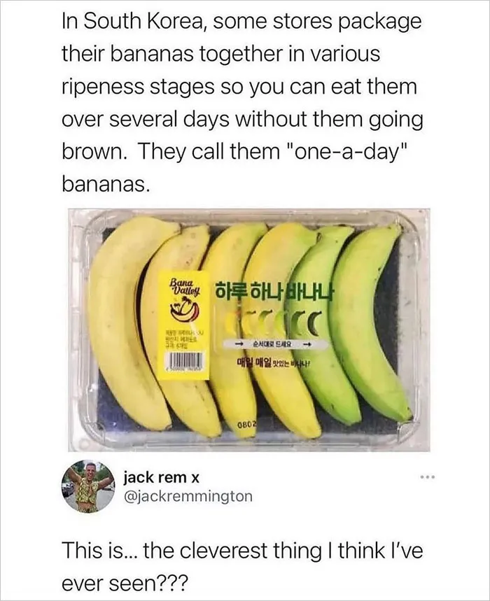 Delightful-News-Ig