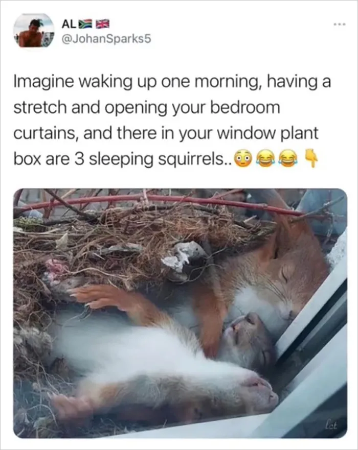 30 Random Feel-Good Posts Shared By The “Delightful News” Instagram Page