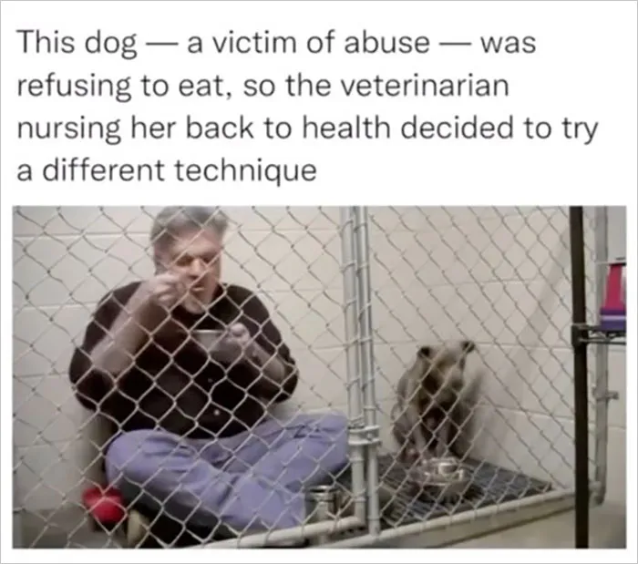 30 Random Feel-Good Posts Shared By The “Delightful News” Instagram Page