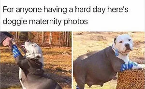 30 Random Feel-Good Posts Shared By The “Delightful News” Instagram Page