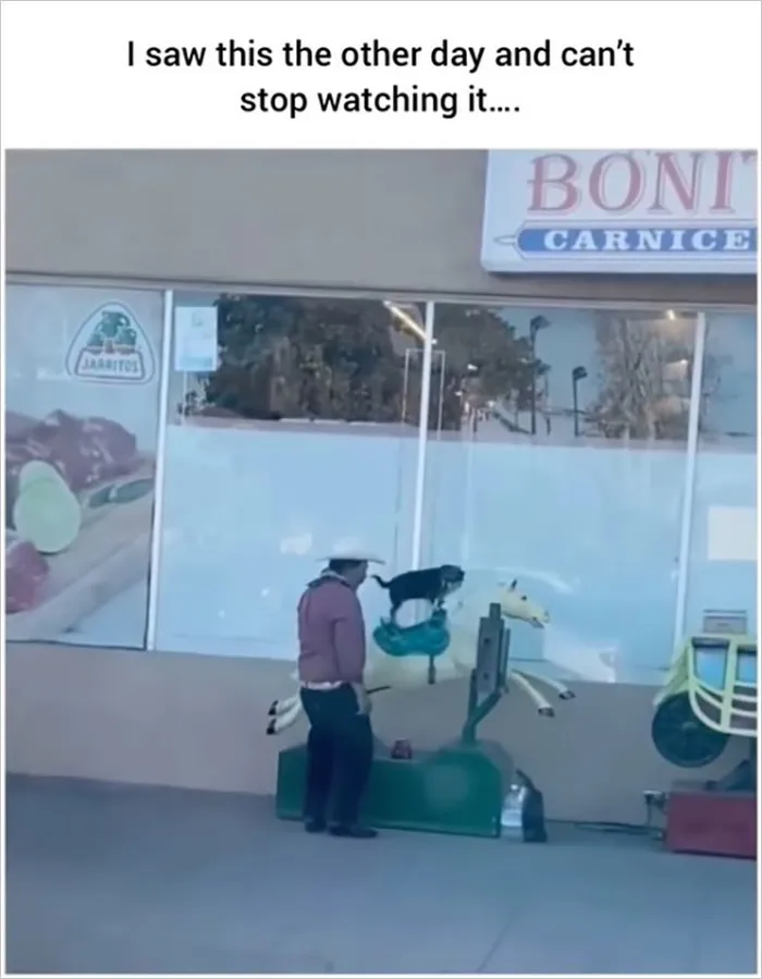 Delightful-News-Ig