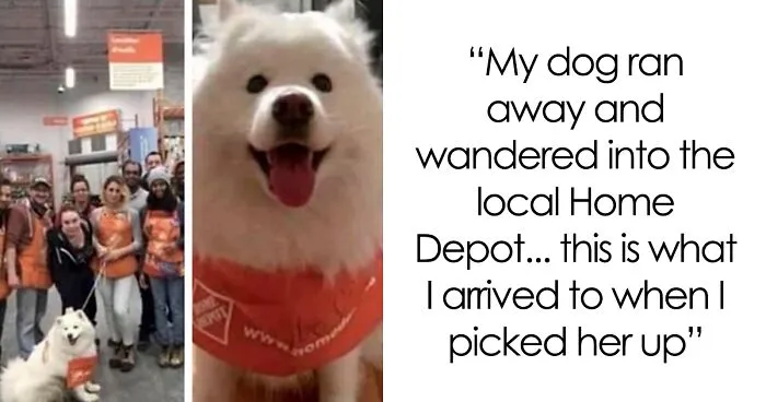 30 Random Feel-Good Posts Shared By The “Delightful News” Instagram Page