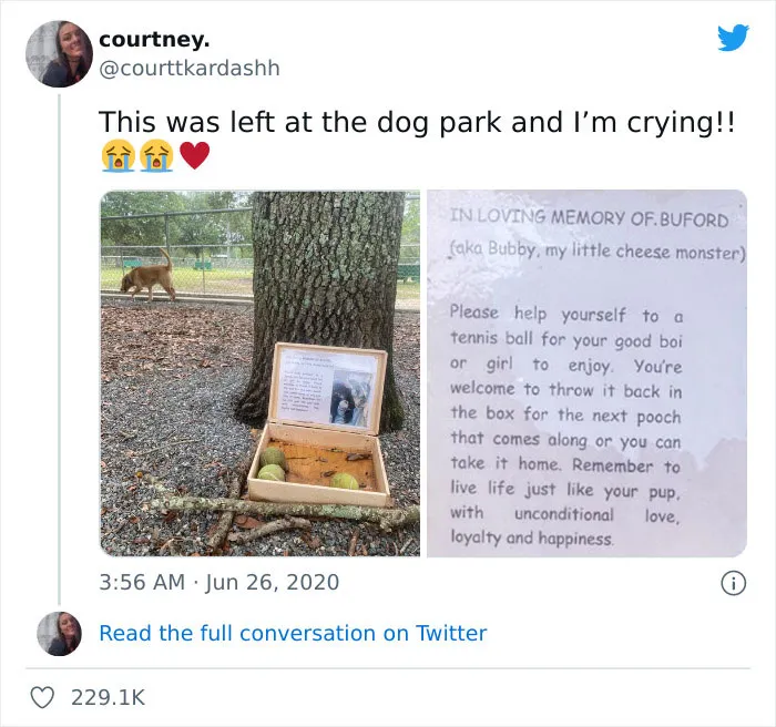 30 Random Feel-Good Posts Shared By The “Delightful News” Instagram Page