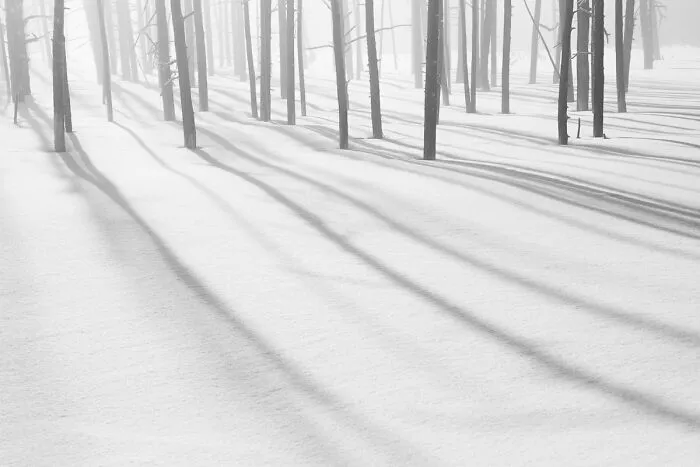 The Best 65 Wildlife Photos Revealed In The 2022 Wildart Photographer Of The Year Contest