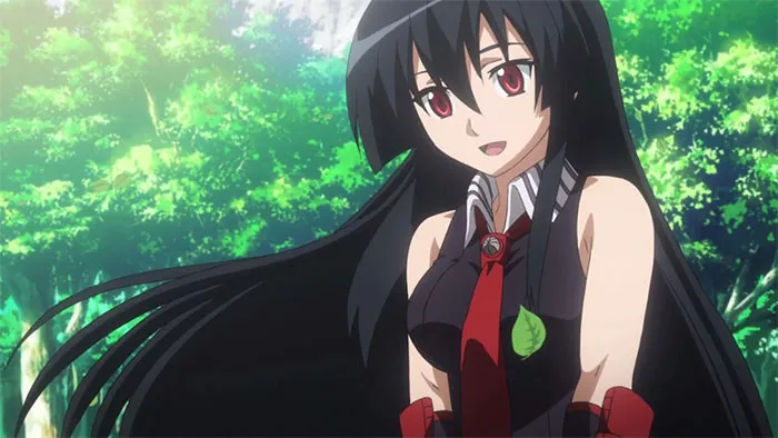 Akame - "Akame Ga Kill!"