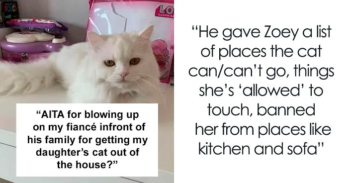 Man Lets Out An Indoor Cat He Hates "Probably Hoping For Her To Get Lost", Fiancée Goes Off At Him In Front Of His Whole Family