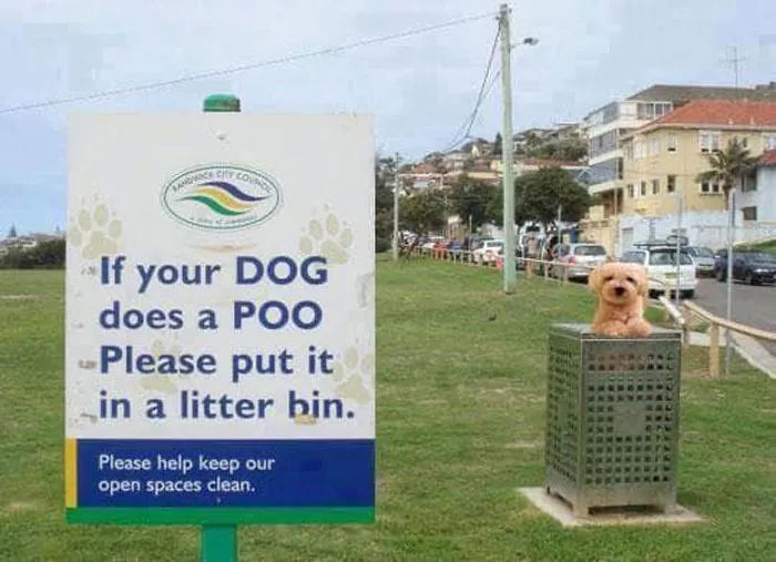 Facebook Page Shares 50 Pictures Who Are Winning The Funny Sign Game