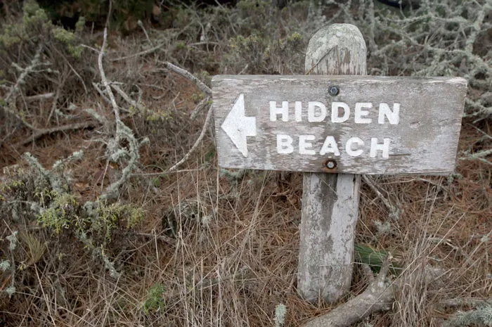 Facebook Page Shares 50 Pictures Who Are Winning The Funny Sign Game