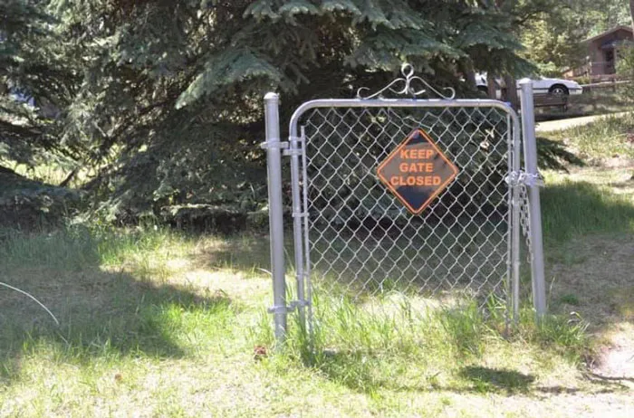 Facebook Page Shares 50 Pictures Who Are Winning The Funny Sign Game