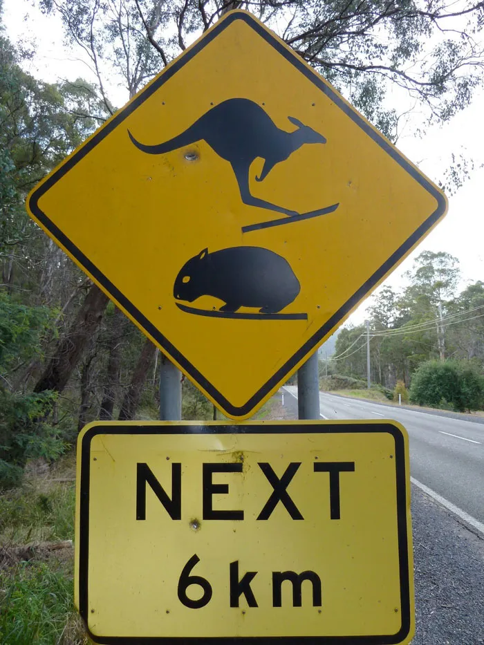 Facebook Page Shares 50 Pictures Who Are Winning The Funny Sign Game