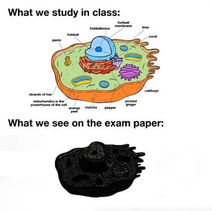 This Page Is Posting Science Memes And Here Are 50 Of The Best Ones