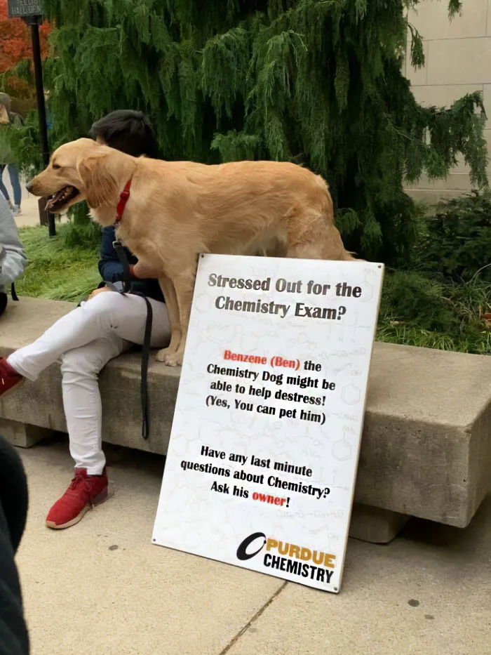This Page Is Posting Science Memes And Here Are 50 Of The Best Ones