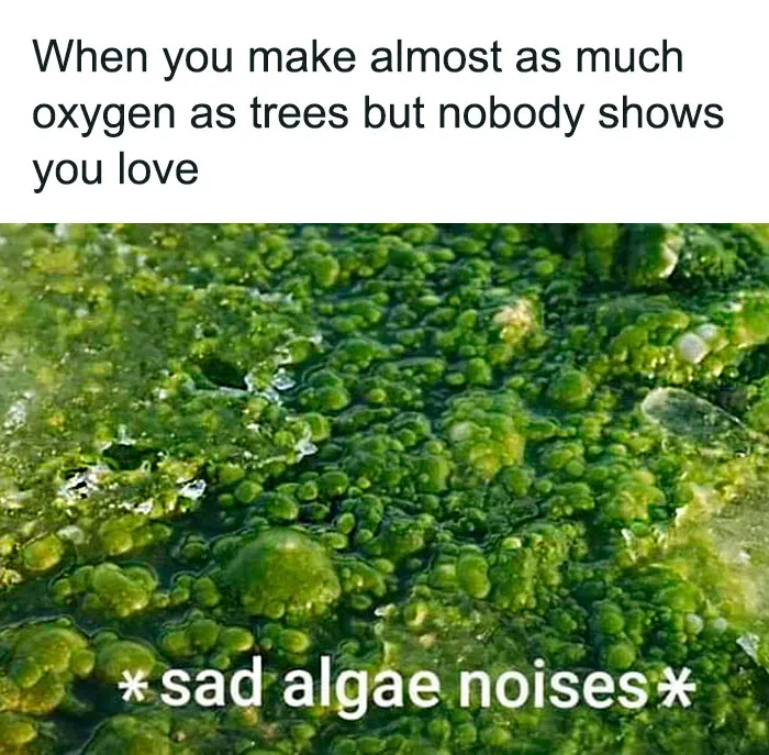 This Page Is Posting Science Memes And Here Are 50 Of The Best Ones