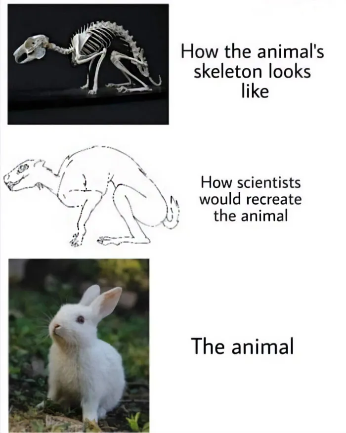 This Page Is Posting Science Memes And Here Are 50 Of The Best Ones