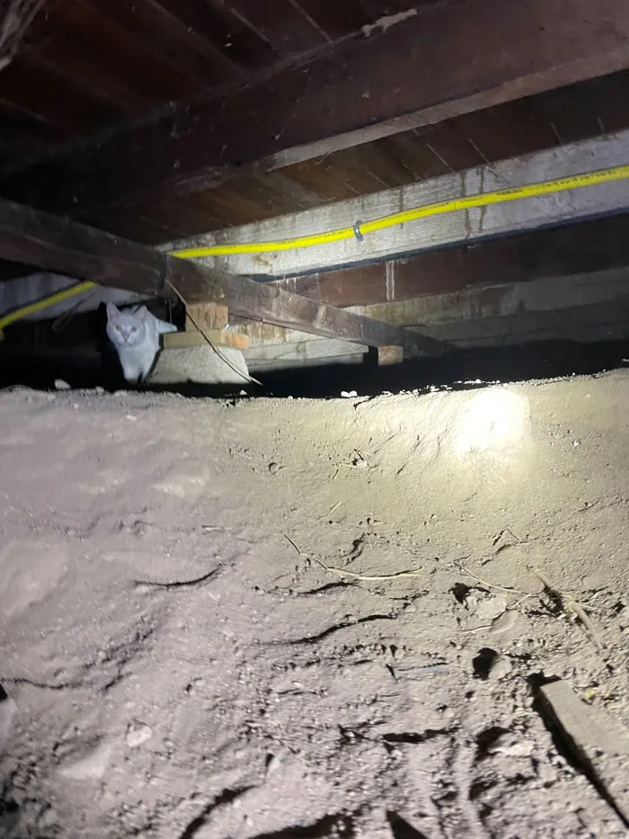 50 ‘Nightmares’ And ‘Miracles’ Spotted During Structural Inspections (New Pics)