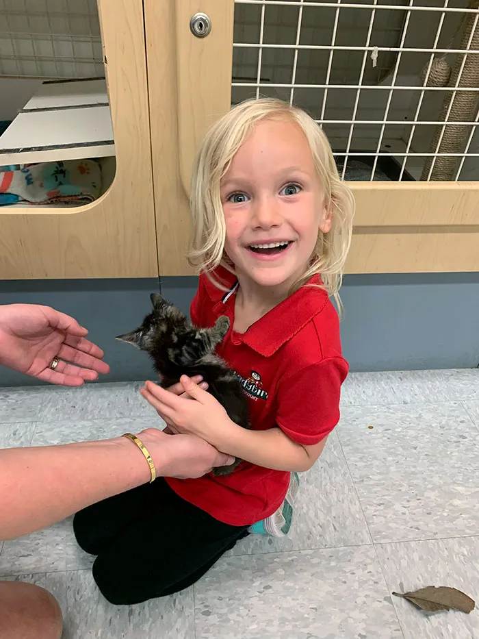 The Look On My Daughter's Face When I Tell Her She Gets To Adopt A Kitten For A Surprise Birthday Present