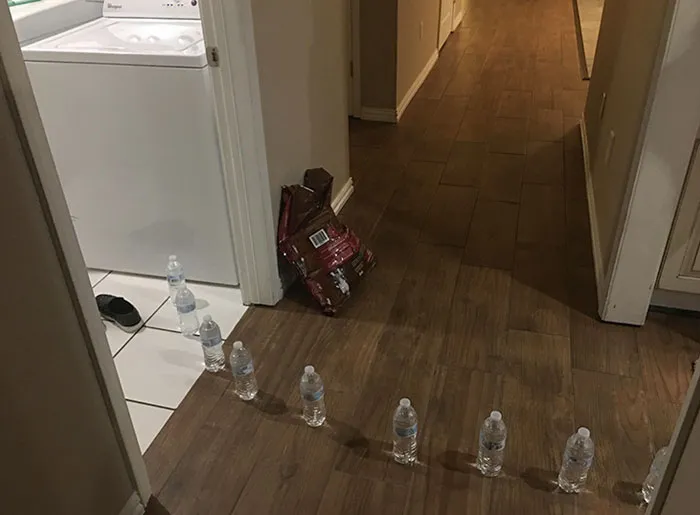 My Kids Came In And Told Me There Was Water Coming From The Laundry Room. They Said It Looked Like It Started At The Washer. I Rushed In To Find This