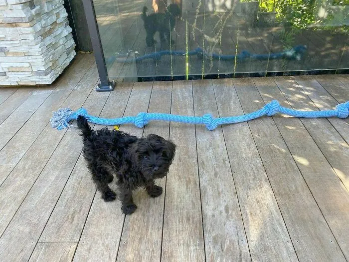 Peppa Will Grow Into It