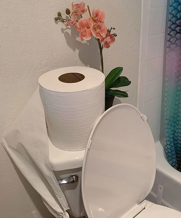 Compré papel higiénico en eBay y no me di cuenta del tamaño
