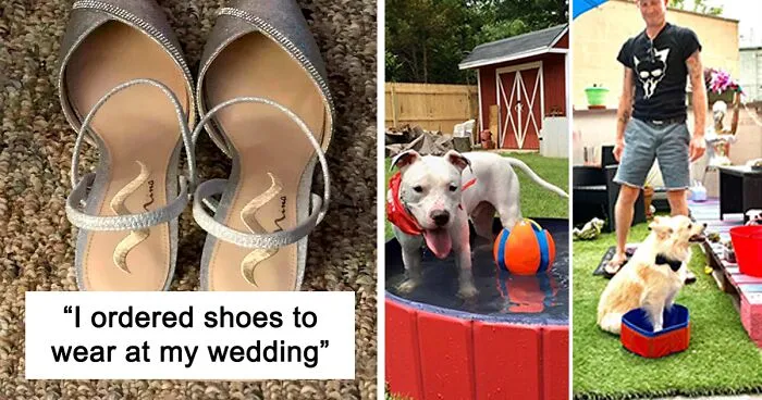 40 Hilarious Times People Ordered Something Online But It Wasn't What They Received (New Pics)
