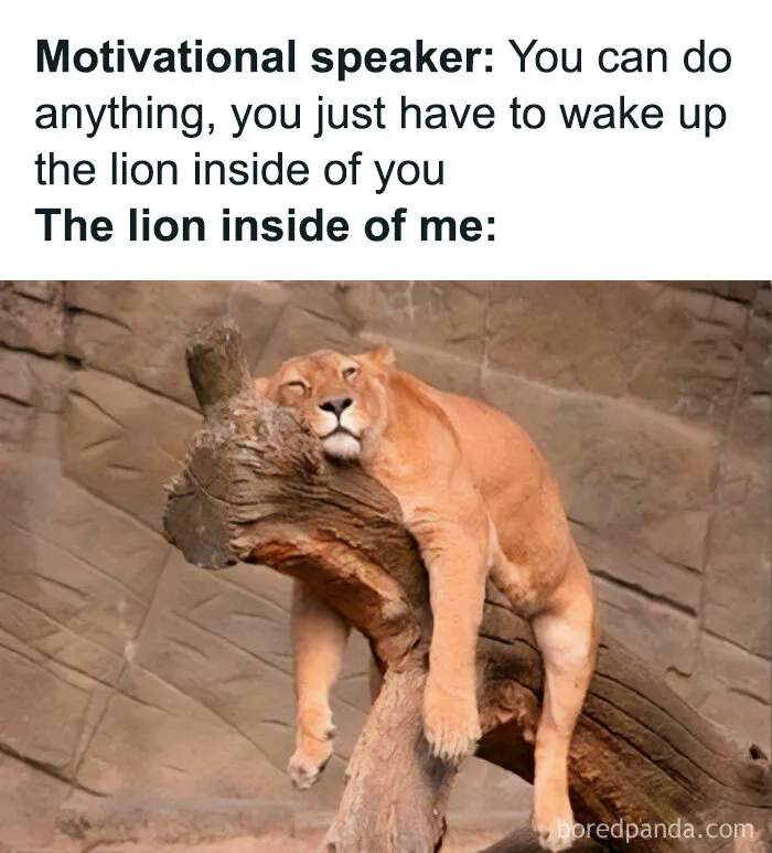 Introverts In This Online Group Are Sharing Painfully-Hilarious Memes About Being Introverts, Here Are 50 Of The Funniest Ones