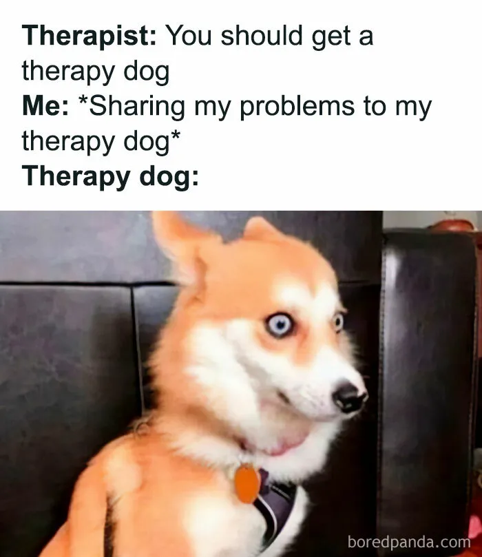 Introverts In This Online Group Are Sharing Painfully-Hilarious Memes About Being Introverts, Here Are 50 Of The Funniest Ones
