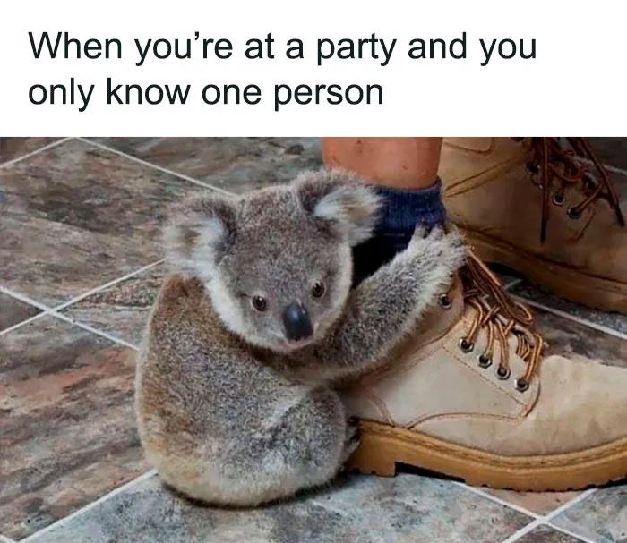 Introverts In This Online Group Are Sharing Painfully-Hilarious Memes About Being Introverts, Here Are 50 Of The Funniest Ones