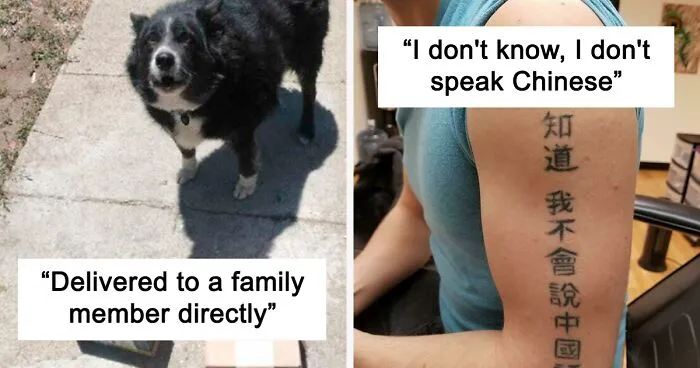 50 Hilarious Pics Of People Doing Exactly What They Were Asked To Do (New Pics)