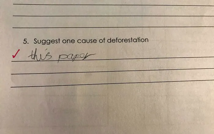 My Wife Is A Teacher And Found This While Marking An Assessment