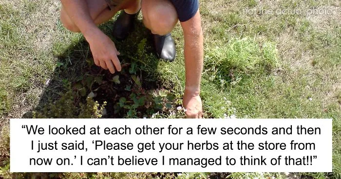 Person Livid After Neighbor’s Girlfriend “Helps Herself” To Their Entire Herb Garden After Being Offered “Some”
