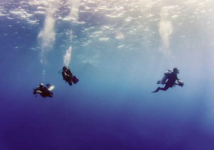 30 ‘Horror Stories’ From Sailors, Scuba Divers, And Surfers Who Have Seen Things In The Ocean They Wish They Could Forget