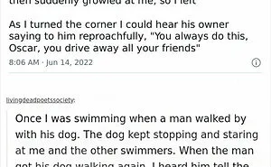 50 Wholesome Pics To Heal Your Soul That Are Heckin’ Awesome