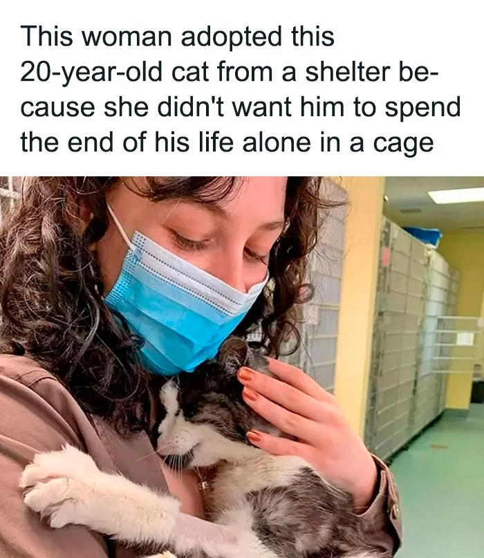 50 Wholesome Pics To Heal Your Soul That Are Heckin’ Awesome