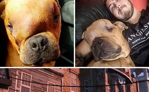 50 Wholesome Pics To Heal Your Soul That Are Heckin’ Awesome