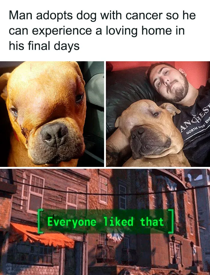 50 Wholesome Pics To Heal Your Soul That Are Heckin’ Awesome