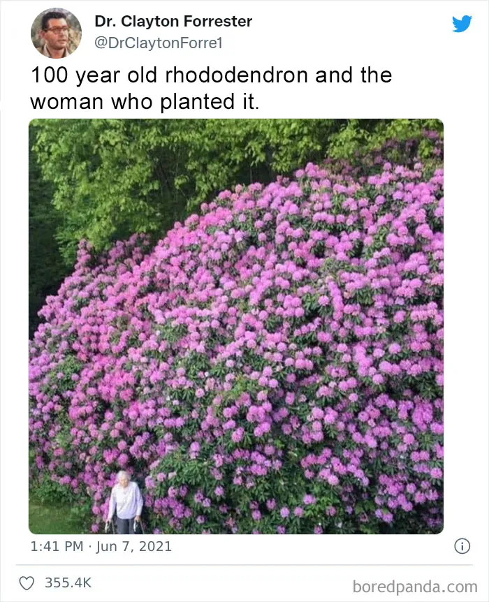 50 Wholesome Pics To Heal Your Soul That Are Heckin’ Awesome