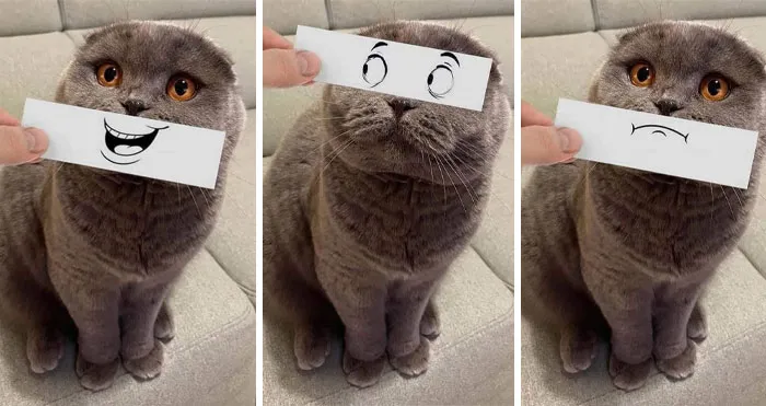 20 Fotos tan reconfortantes como geniales para sanar tu alma