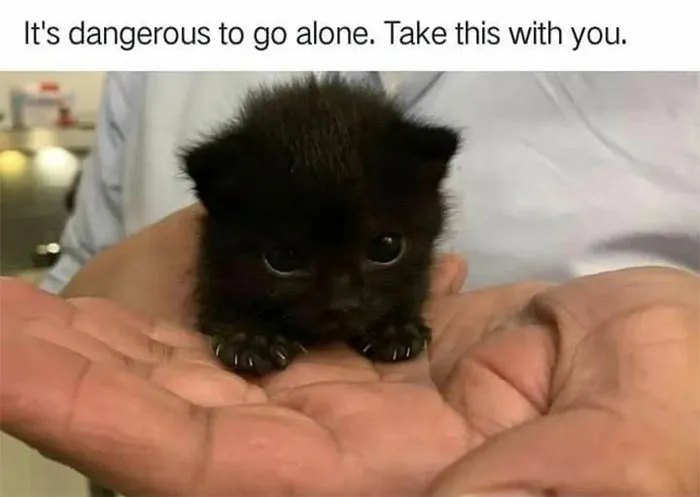 50 Wholesome Pics To Heal Your Soul That Are Heckin’ Awesome